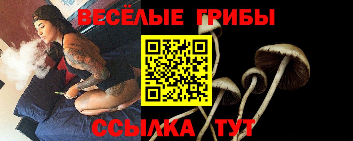 продажа наркотиков  Вход с VPN  Екатеринбург  Галлюциногенные грибы Cubensis 